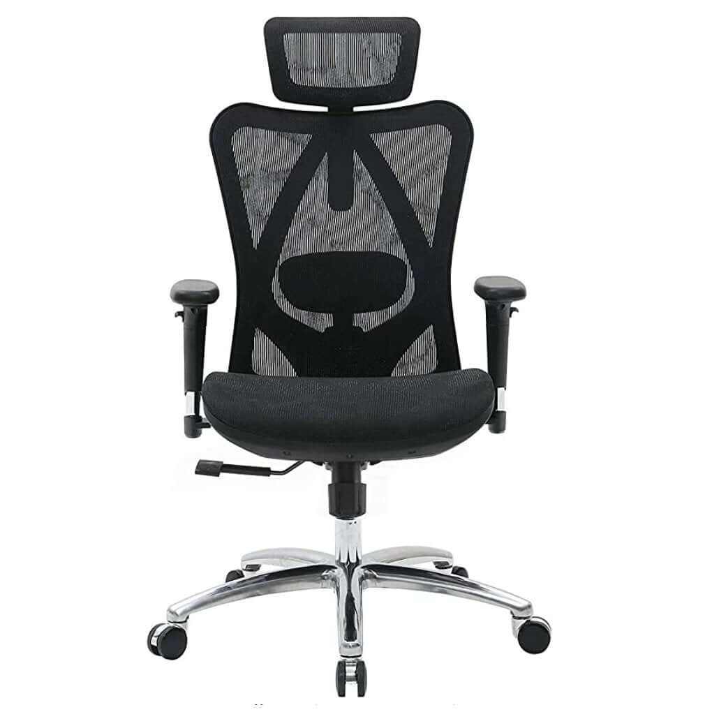 Comfortable Desk Chair 3D Armrest and Lumbar Support - Black