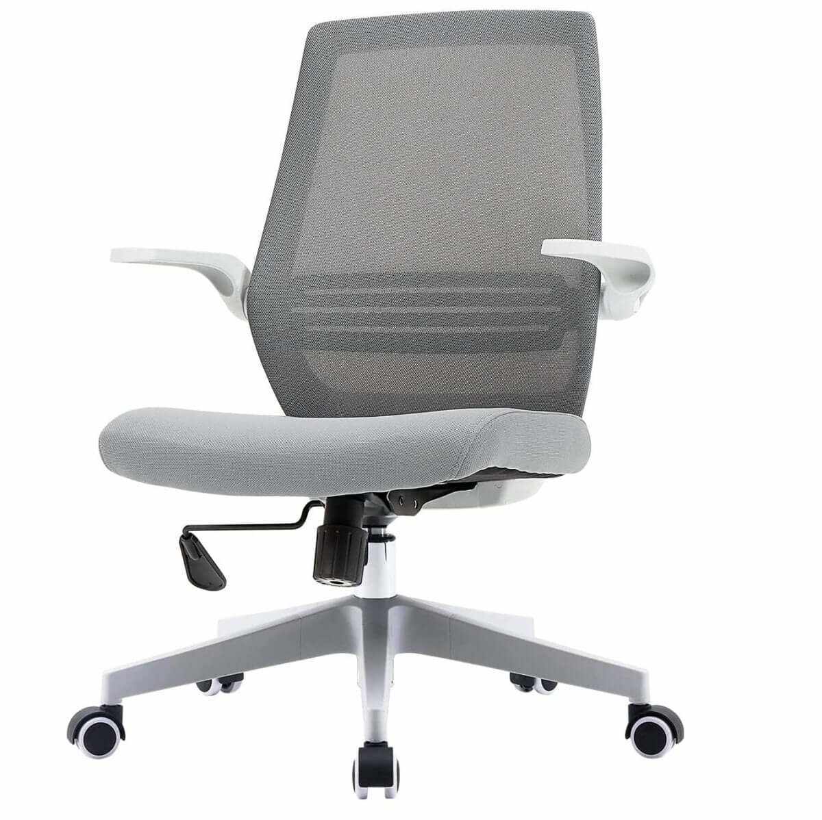 Carwin Ergonomic Office Chair - Grey
