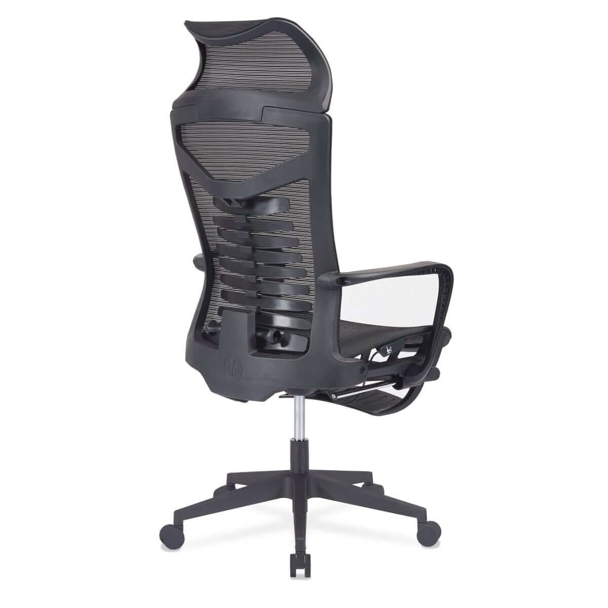 Ergonomic Mesh Chair with Back Support and Footrest