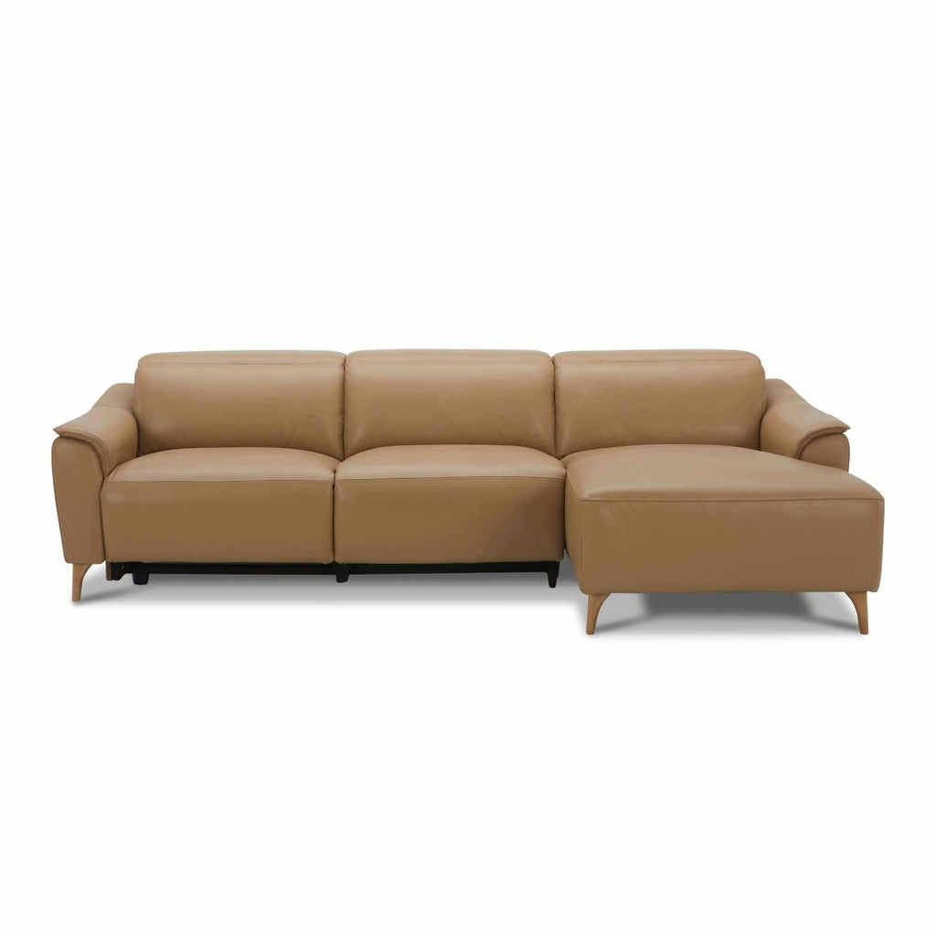 2 seater leather sofa lounge