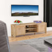 2 door tv cabinet