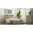 queen storage bedframe