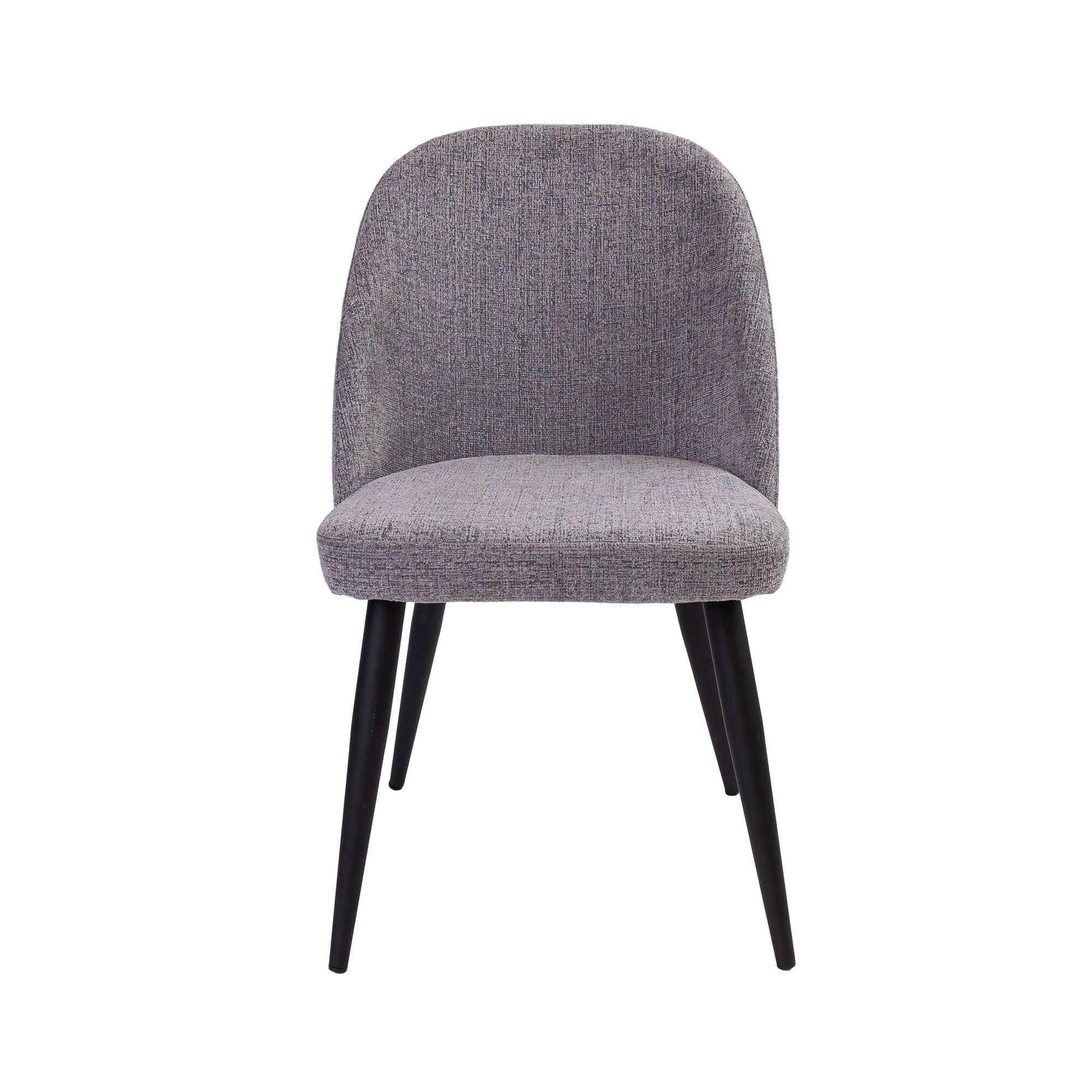 Erin Mid Century Modern Chair Set of 2 - Fog