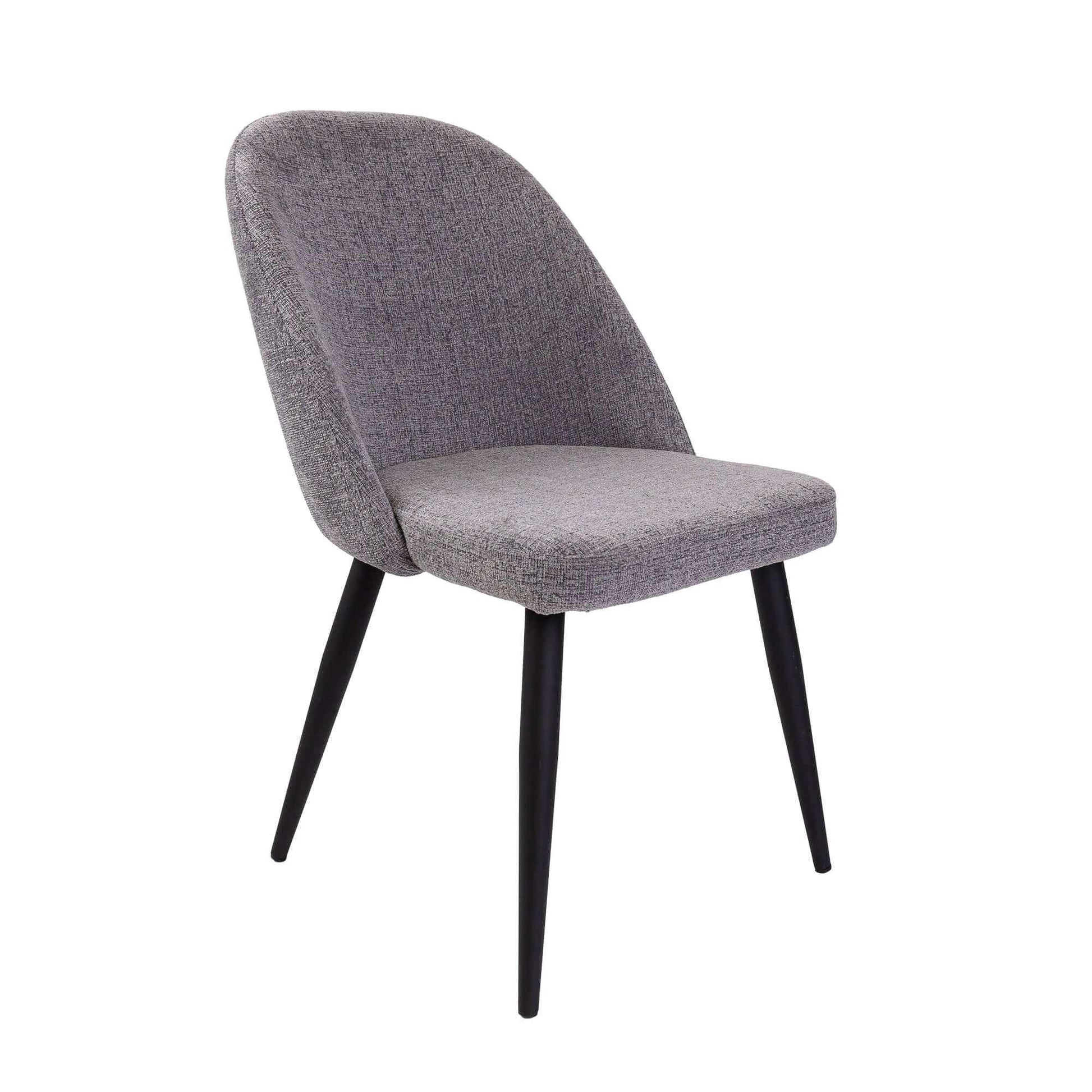 Erin Mid Century Modern Chair Set of 2 - Fog