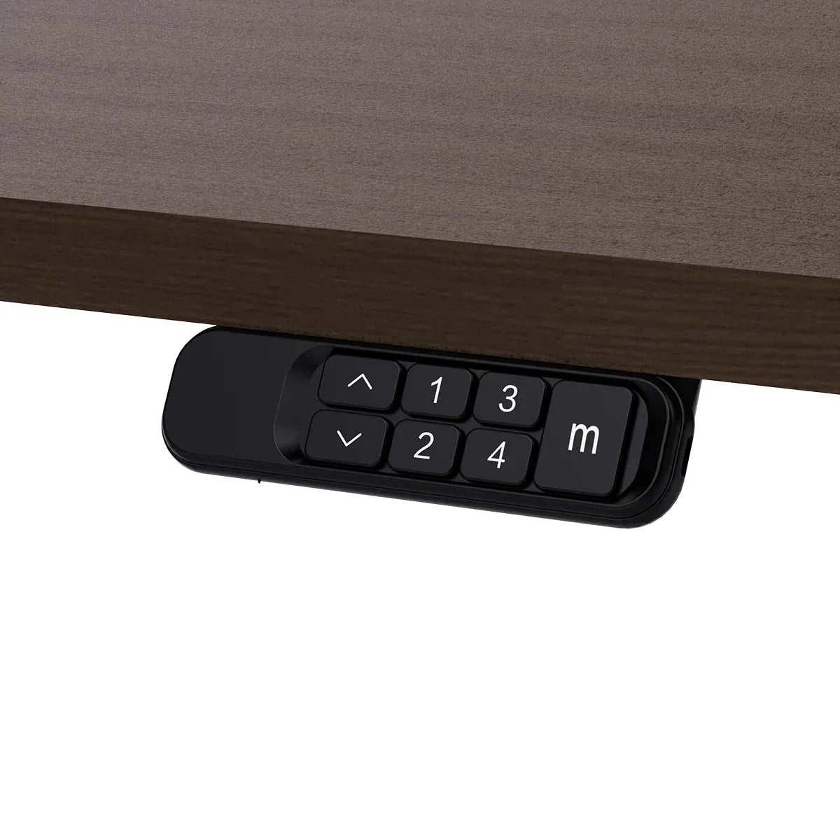 Lifespan Fitness ErgoDesk Electric Standing Desk 160cm (Walnut/Black)