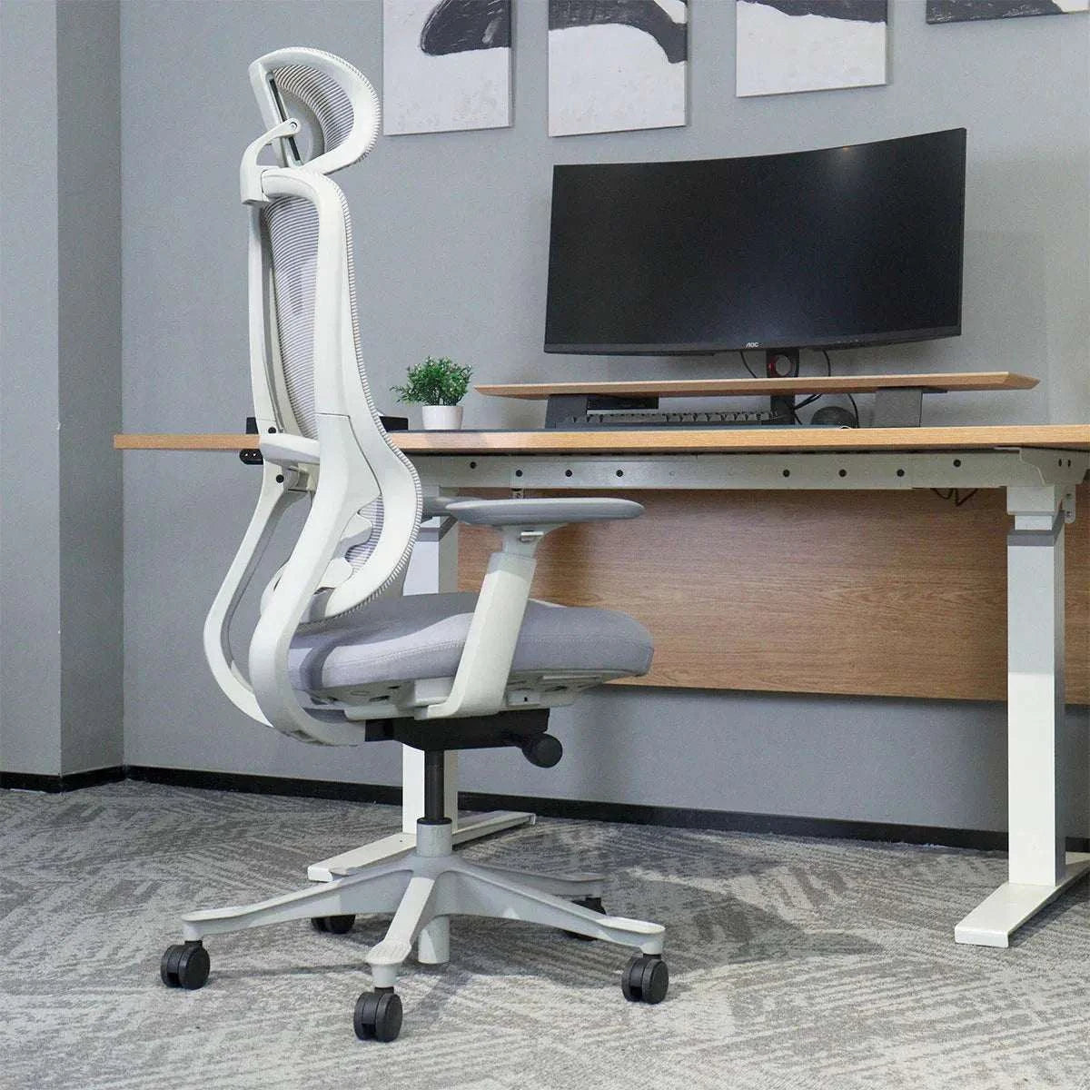 Lifespan Fitness DM8 Ergonomic Office Desk Chair (White/Grey)