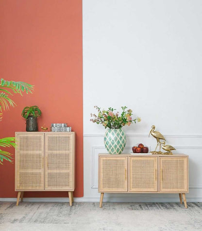 TWO DOOR RATTAN CABINET