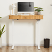 electric standing desk