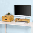 Monitor Stand Desk Organizer