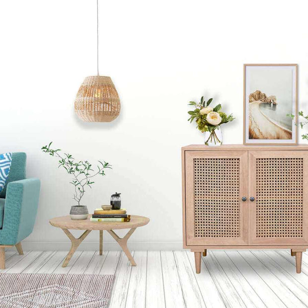 rattan cabinet with 2 door