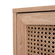 rattan cabinet with 2 door