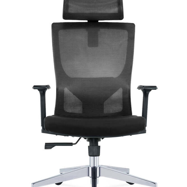 backrest Office Chair 