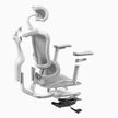 Ergonomics Executive Office Chair