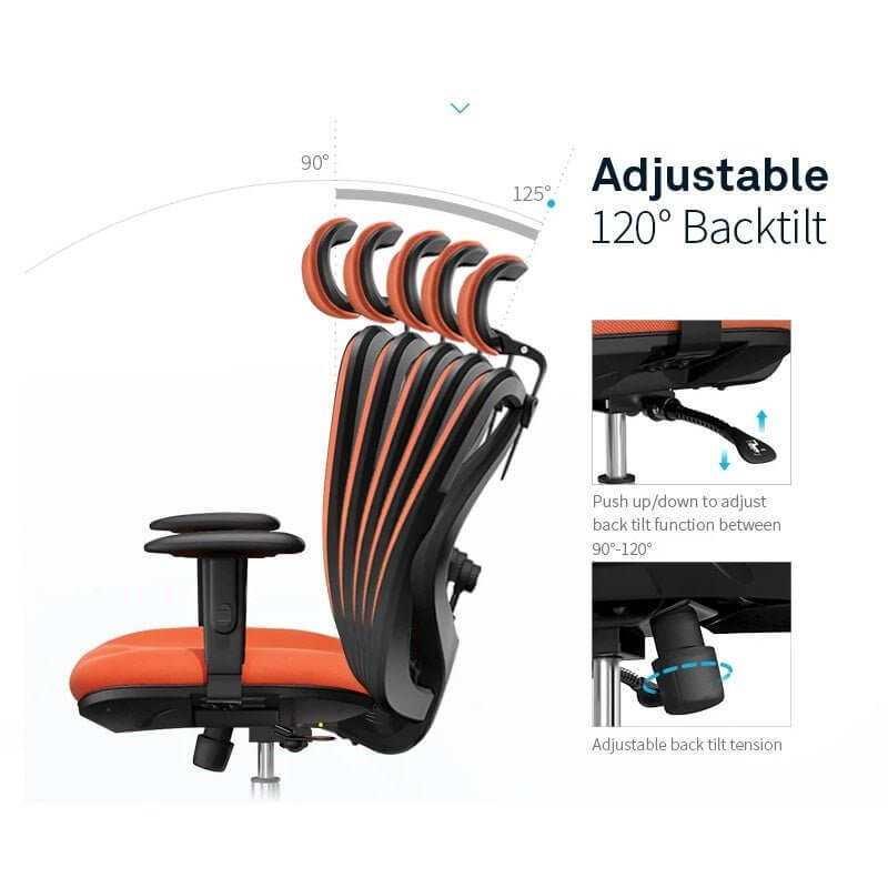 Ergonomic Office and Computer Chair 