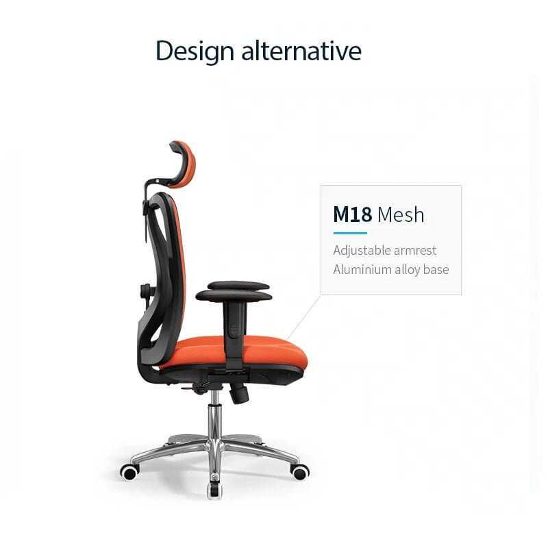 Ergonomic Office and Computer Chair 