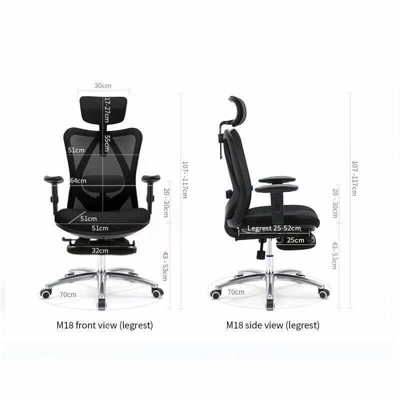 Ergonomic Office and Computer Chair 