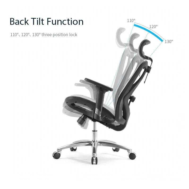 Sihoo High Back Ergonomic Office Chair