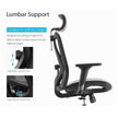 high back ergonomic office chair