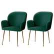 green dining chairs set of 2 